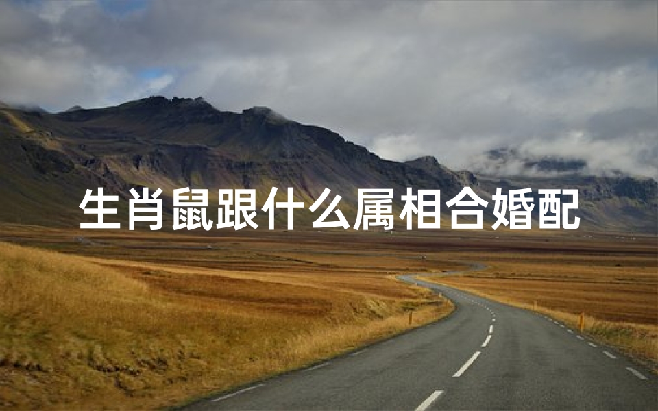 生肖鼠跟什么属相合婚配,生肖鼠跟什么属相合婚配呢