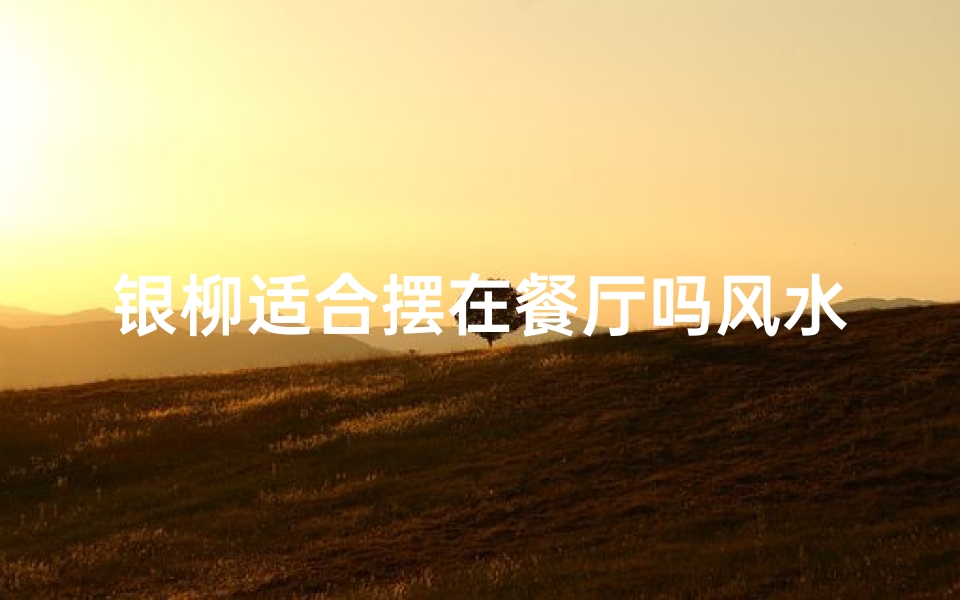 银柳适合摆在餐厅吗风水