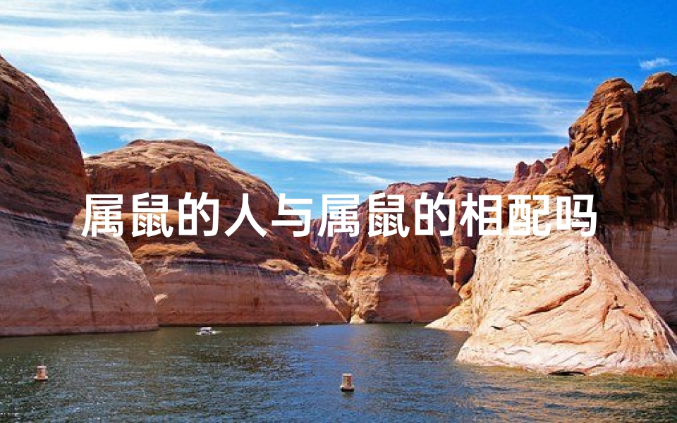 属鼠的人与属鼠的相配吗;属鼠相配:鼠鼠情深,缘定三生