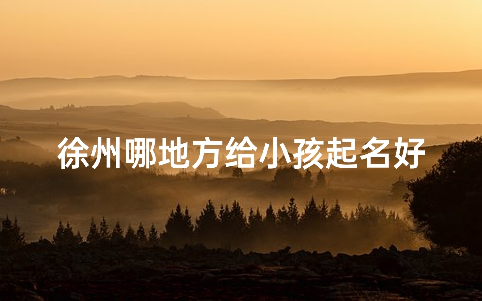 徐州哪地方给小孩起名好