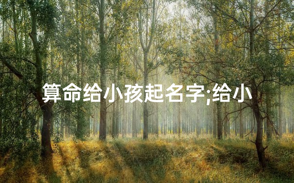 算命给小孩起名字;给小孩算命算哪几项