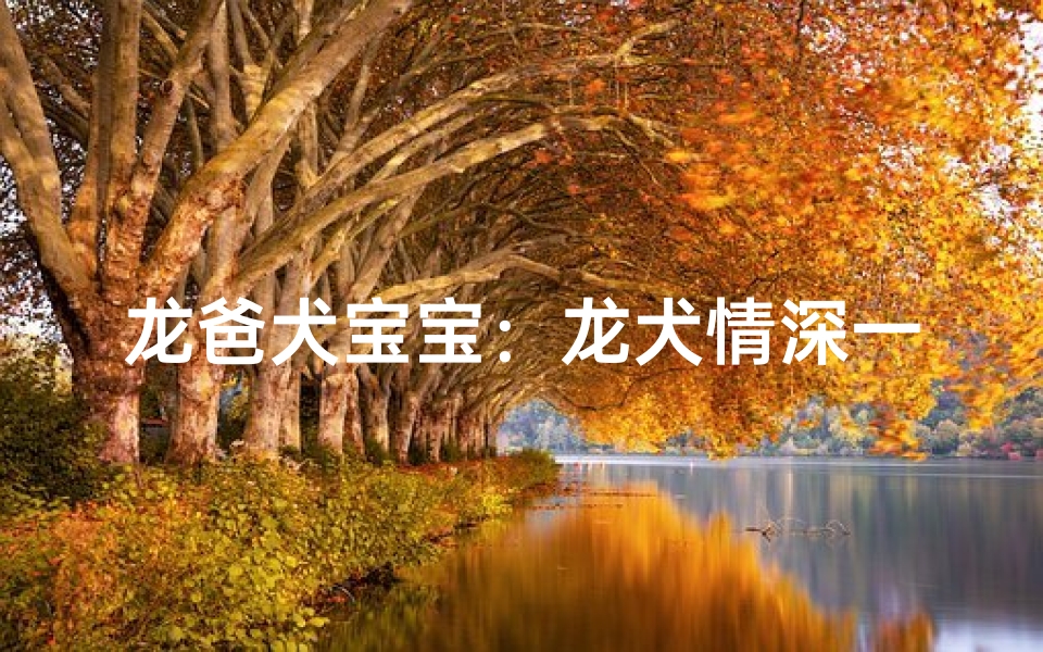 龙爸犬宝宝:龙犬情深一家亲-优贝算卦网