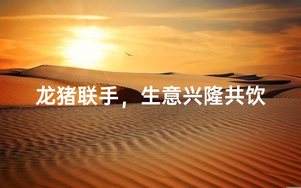 龙猪联手,生意兴隆共饮欢