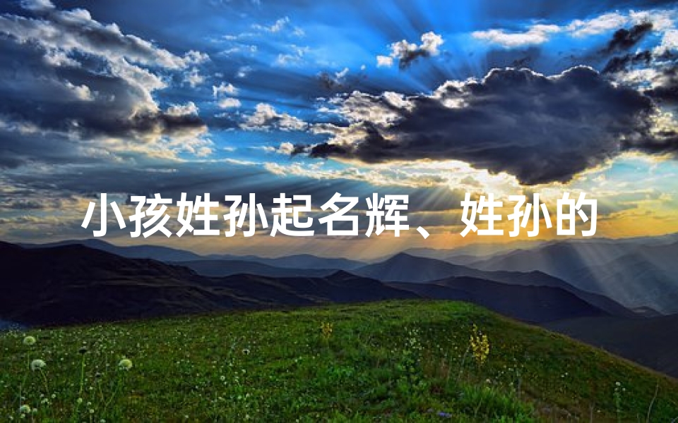 小孩姓孙起名辉、姓孙的孩子取名
