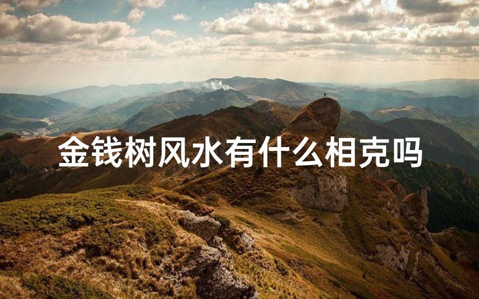 金钱树风水有什么相克吗