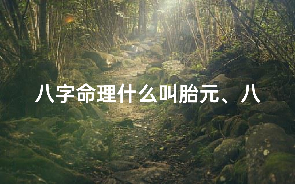 八字命理什么叫胎元、八字命理什么叫胎元和婚姻