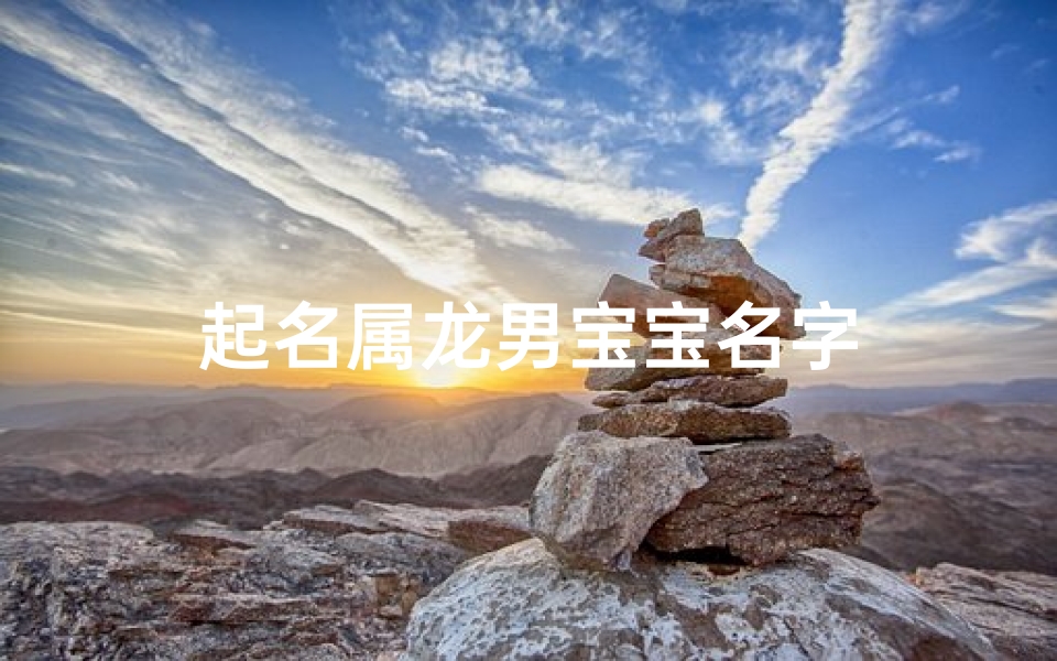 起名属龙男宝宝名字-优贝算卦网