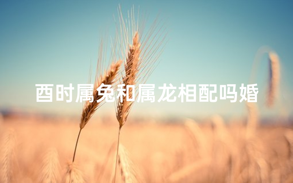 酉时属兔和属龙相配吗婚姻、酉时兔龙配婚姻:佳偶天成,幸福长久
