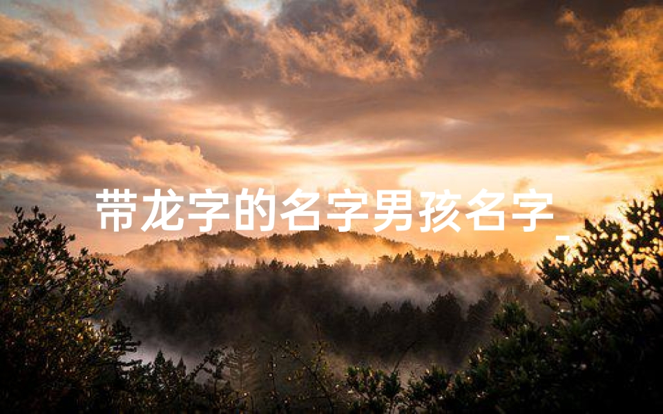 带龙字的名字男孩名字_《龙腾童趣:寓意吉祥的小孩名字精选》