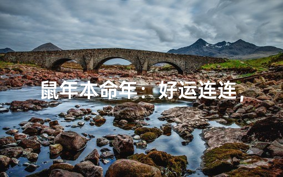 鼠年本命年:好运连连,福星高照