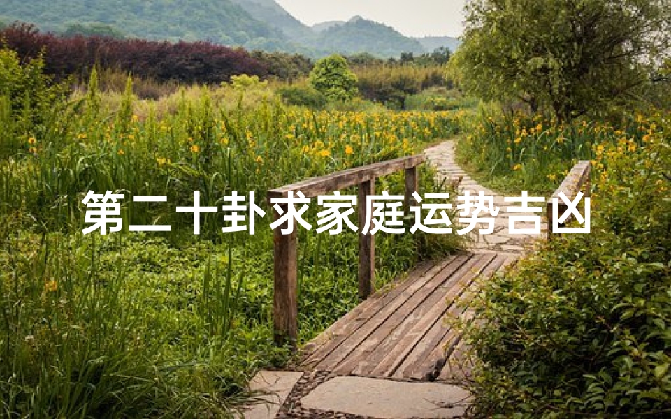 第二十卦求家庭运势吉凶—《第二十卦揭秘:家庭运势吉凶大解析》