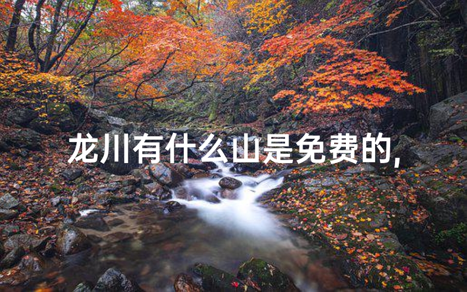龙川有什么山是免费的,龙川寺庙求签真的靠谱吗?揭秘神秘占卜之谜