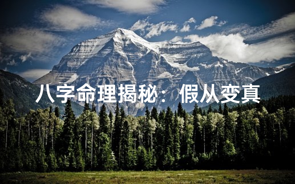 八字命理揭秘:假从变真从的神奇转变