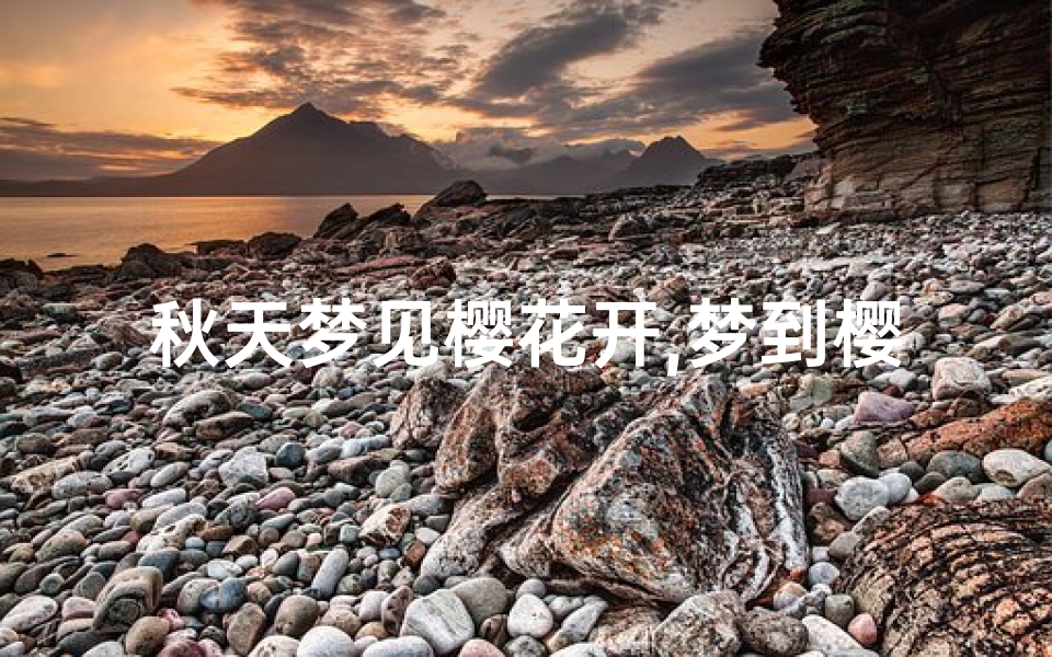 秋天梦见樱花开,梦到樱花开