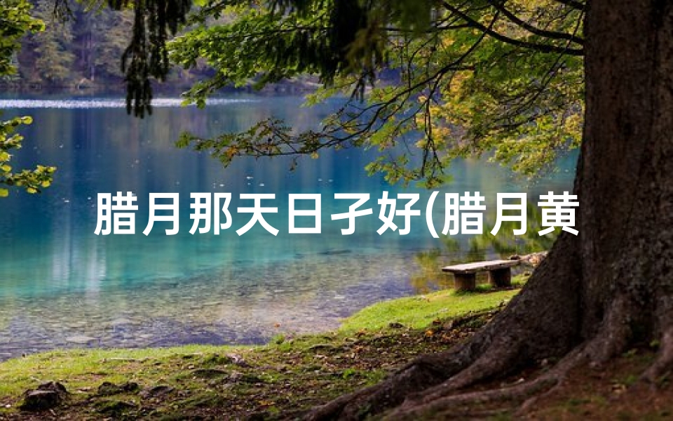 腊月那天日孑好(腊月黄道吉日：这些天最适合做什么？)