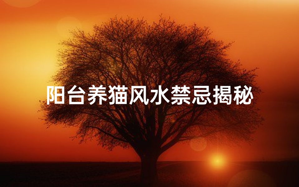 阳台养猫风水禁忌揭秘