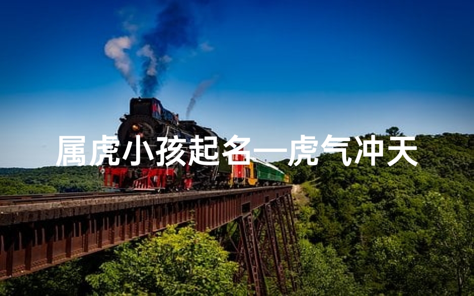 属虎小孩起名—虎气冲天：属虎小孩的独特风采