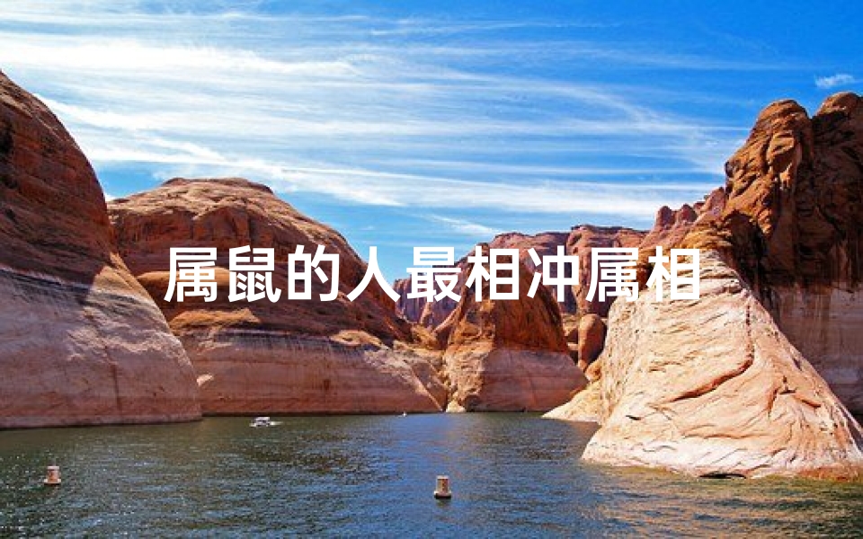 属鼠的人最相冲属相