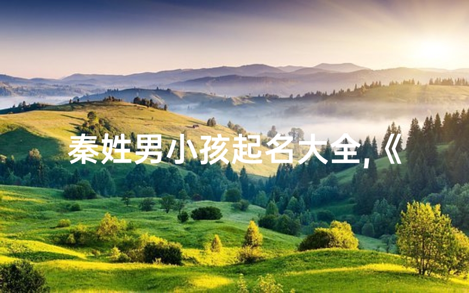 秦姓男小孩起名大全,《秦姓男孩名字大全：传承古韵，智慧成长》
