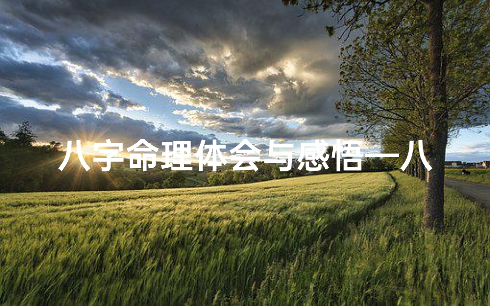 八字命理体会与感悟—八字命理:探寻命运奥秘的感悟之旅