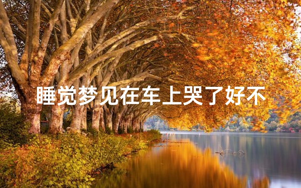 睡觉梦见在车上哭了好不好_睡觉梦见在车上哭了好不好呀