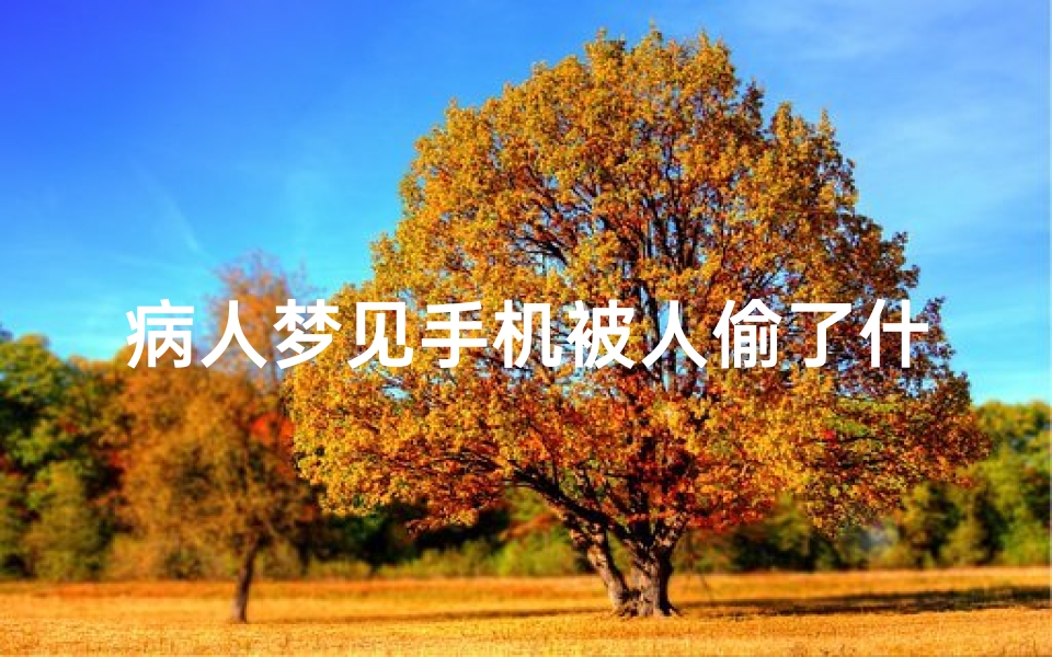 病人梦见手机被人偷了什么预兆(梦见手机被人偷了有什么预兆)