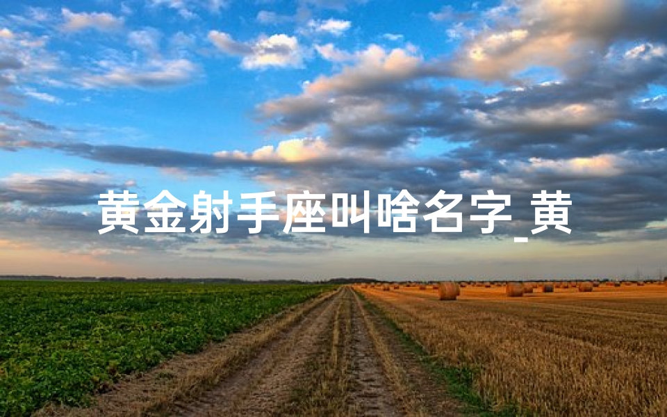 黄金射手座叫啥名字_黄金射手：星座之光，闪耀人生轨迹