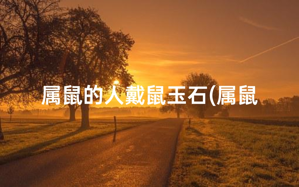 属鼠的人戴鼠玉石(属鼠人戴什么玉好)