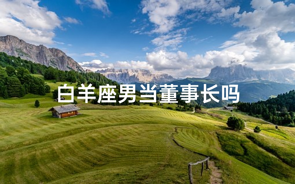 白羊座男当董事长吗