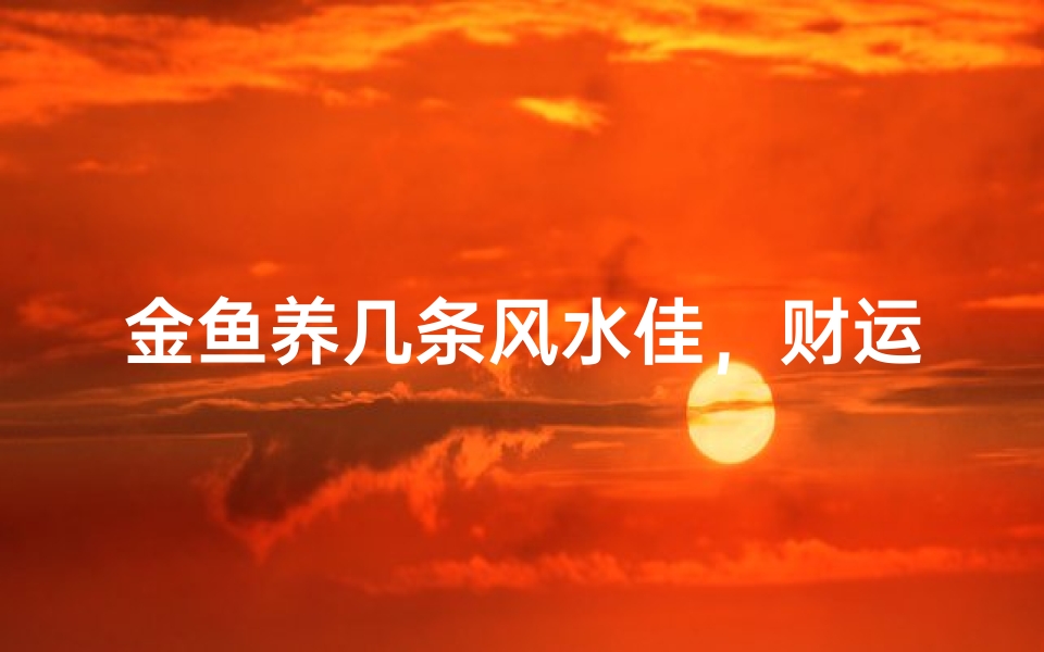 金鱼养几条风水佳,财运滚滚来