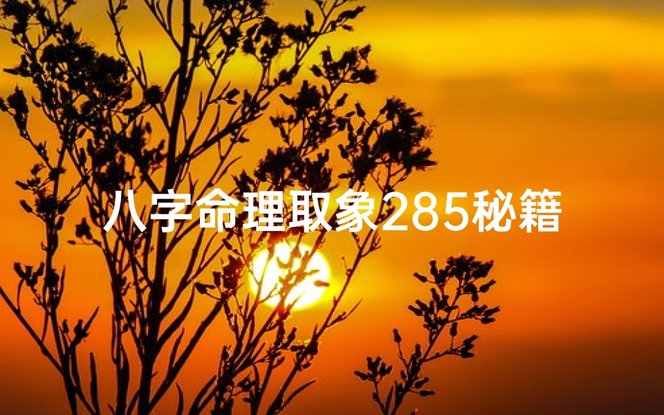八字命理取象285秘籍:揭秘人生运势奥秘