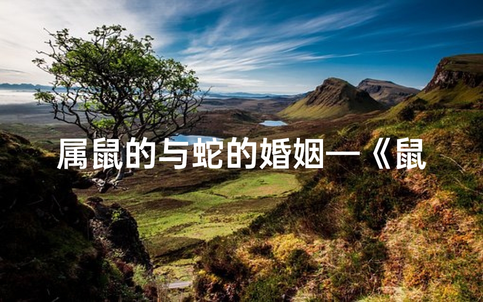 属鼠的与蛇的婚姻—《鼠蛇配:生肖奇缘,爱恨交织》