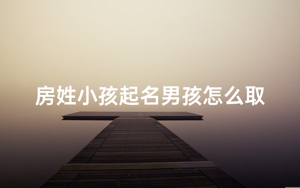 房姓小孩起名男孩怎么取(房姓男孩子取什么名字好)