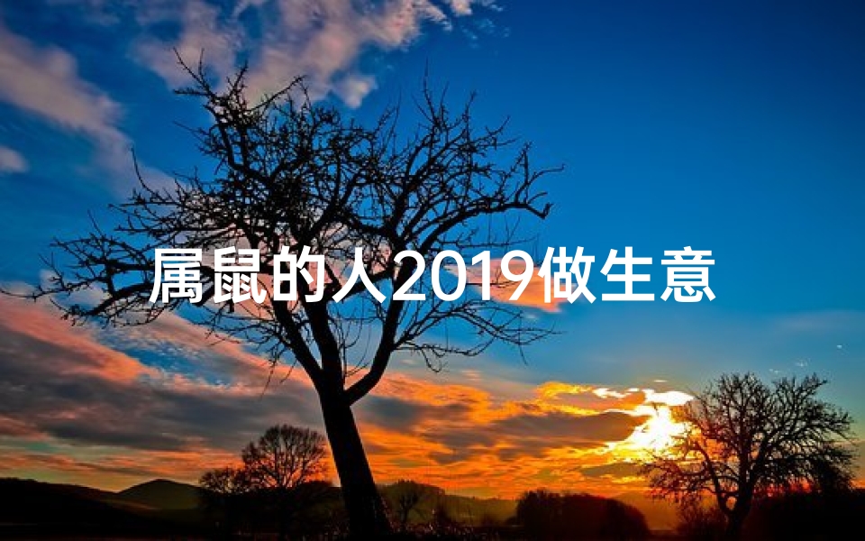 属鼠的人2019做生意
