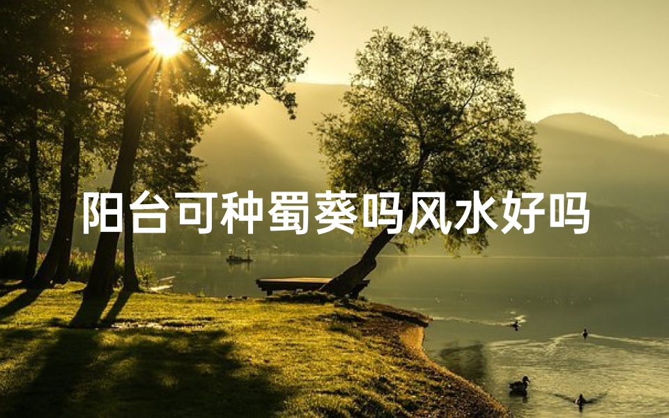 阳台可种蜀葵吗风水好吗;阳台种蜀葵风水佳否?家居绿植布局指南