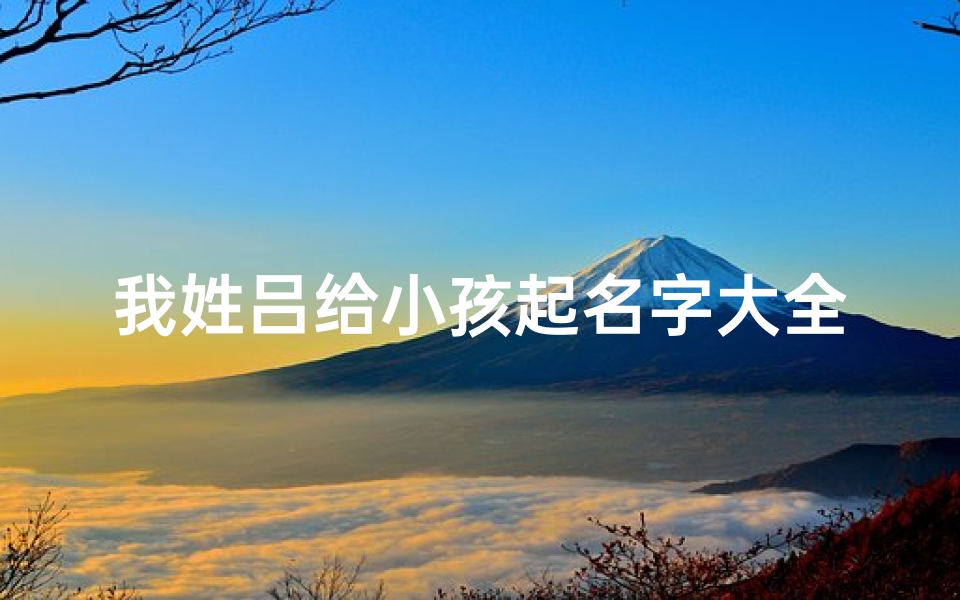 我姓吕给小孩起名字大全_姓吕的小孩名字
