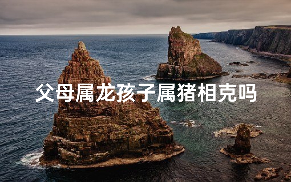 父母属龙孩子属猪相克吗、属龙爸妈属猪宝宝相克吗?揭秘生肖相克真相