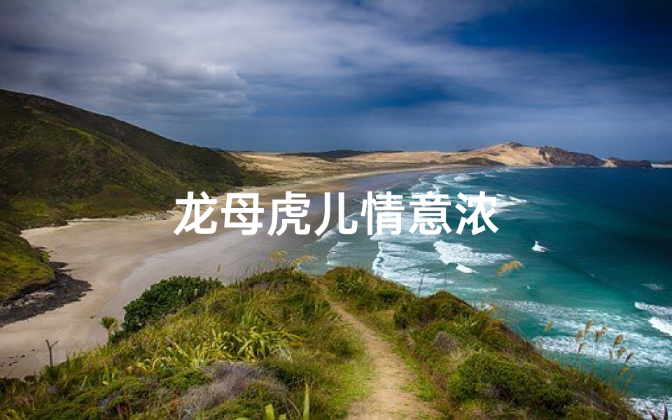 龙母虎儿情意浓-优贝算卦网
