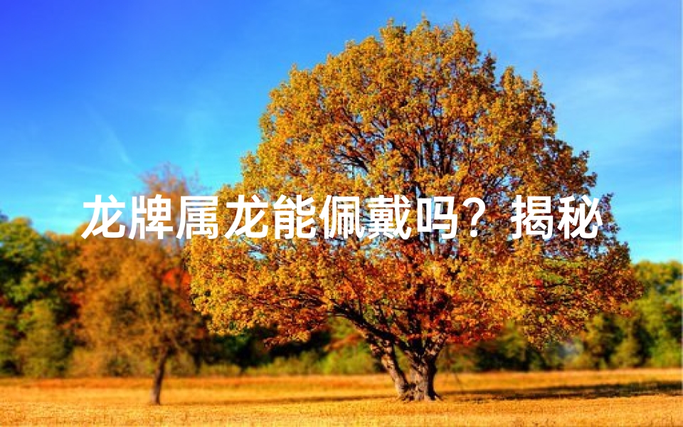 龙牌属龙能佩戴吗?揭秘生肖龙专属吉祥物
