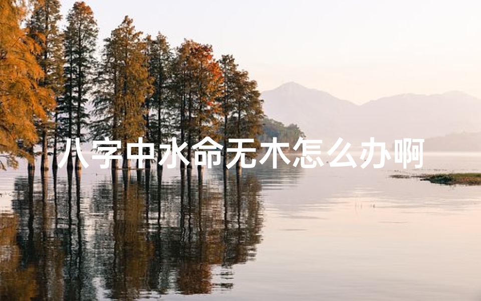 八字中水命无木怎么办啊—八字无水无木的女人