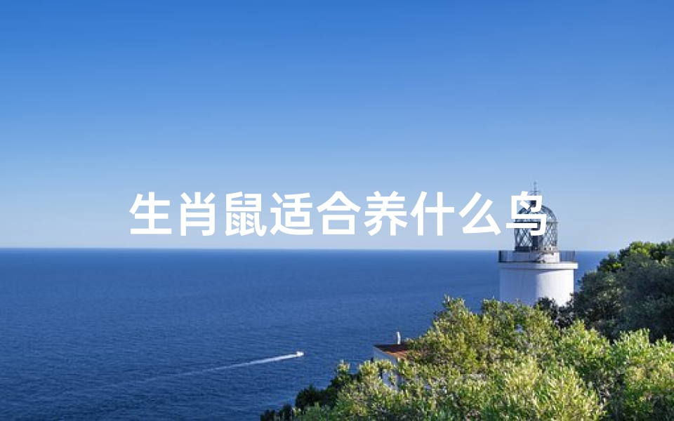 生肖鼠适合养什么鸟