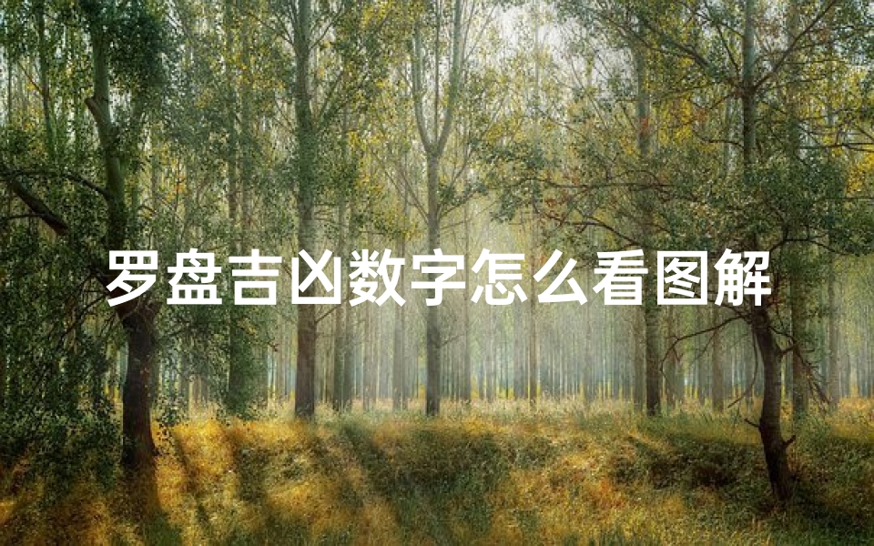 罗盘吉凶数字怎么看图解—罗盘解说凶吉
