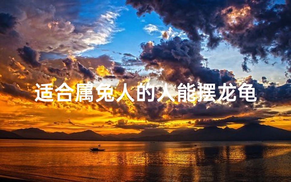 适合属兔人的人能摆龙龟吗-优贝算卦网