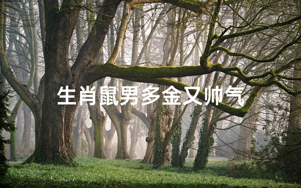 生肖鼠男多金又帅气