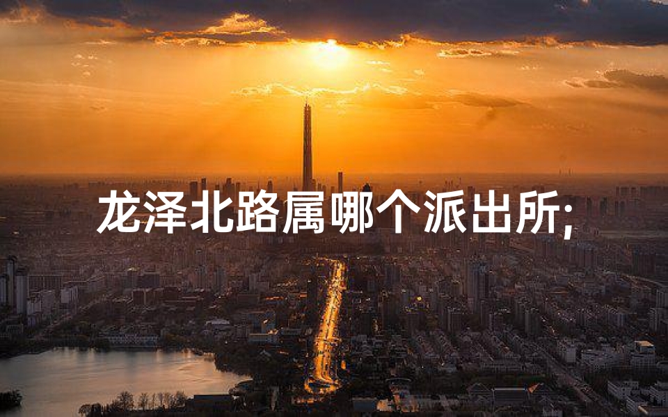 龙泽北路属哪个派出所;龙泽派出所电话