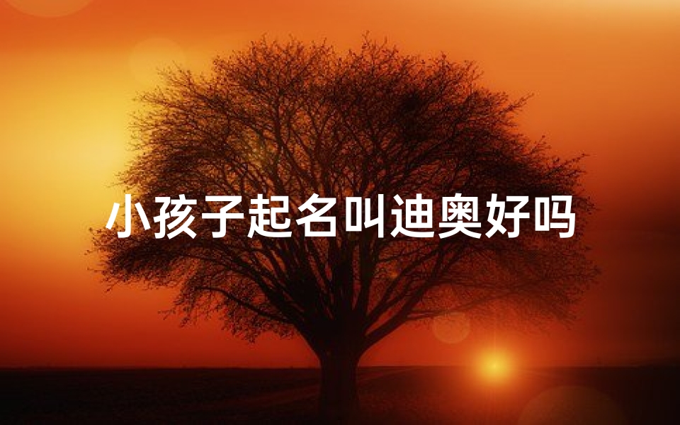 小孩子起名叫迪奥好吗
