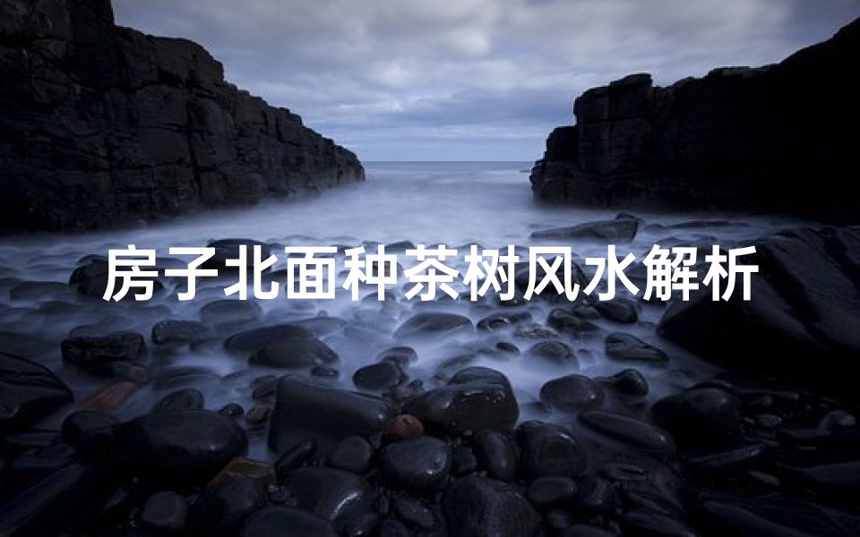 房子北面种茶树风水解析：吉凶与适宜性