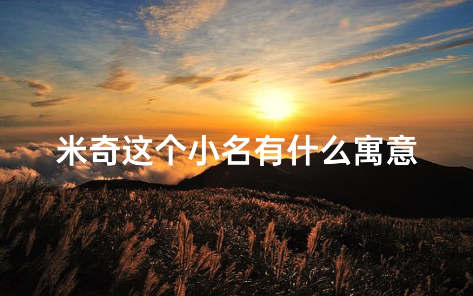 米奇这个小名有什么寓意(《米奇:快乐成长,梦想翱翔》)