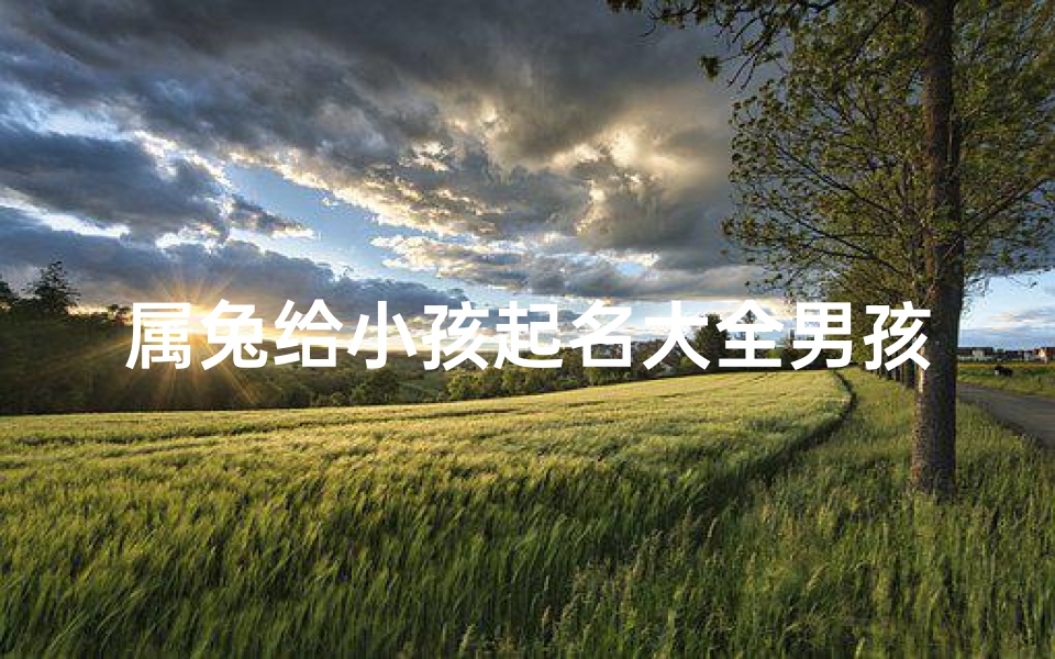 属兔给小孩起名大全男孩