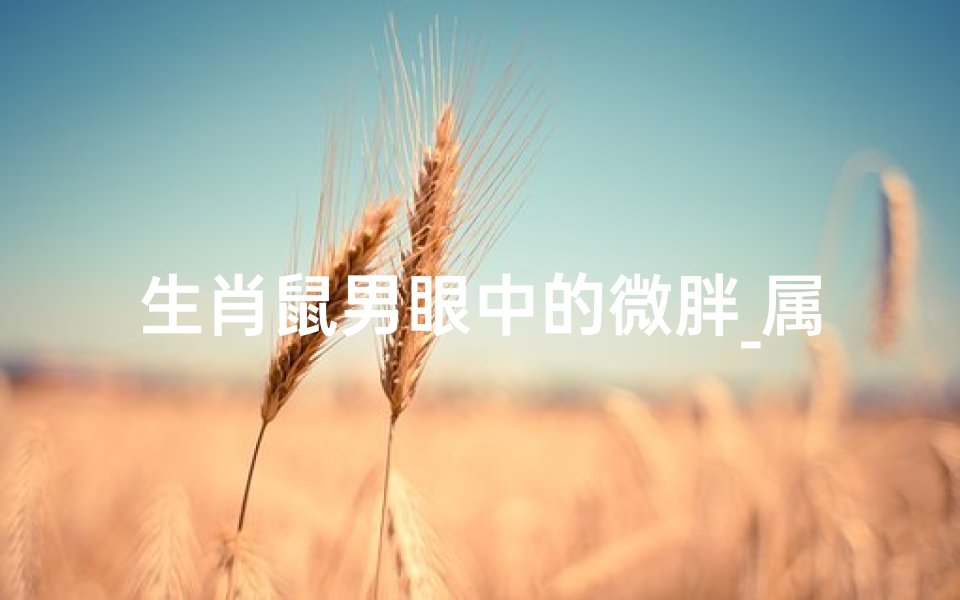 生肖鼠男眼中的微胖_属鼠的男人大方吗